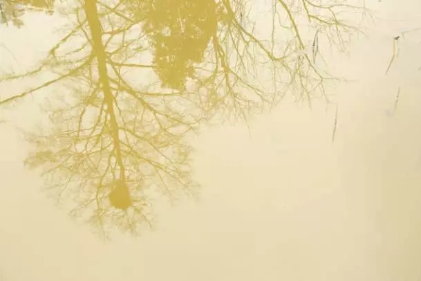 640.webp (3).jpg 640.webp (3).jpg