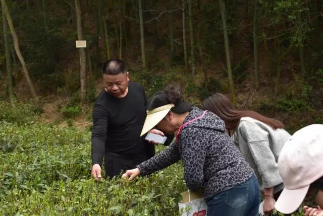 微信图片_20170410152229.jpg 微信图片_20170410152229.jpg