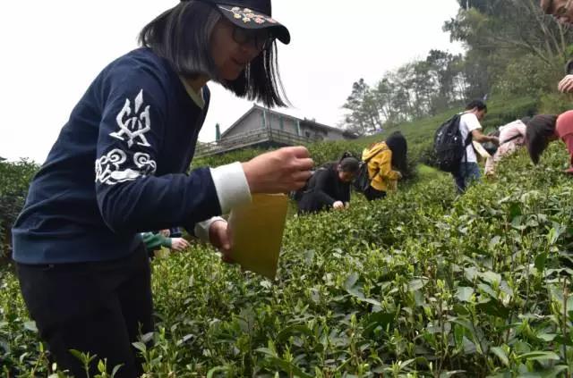 微信图片_20170410152254.jpg 微信图片_20170410152254.jpg