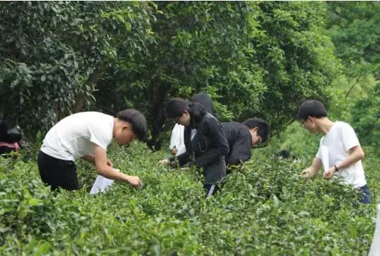 微信图片_20170508124008.jpg 微信图片_20170508124008.jpg